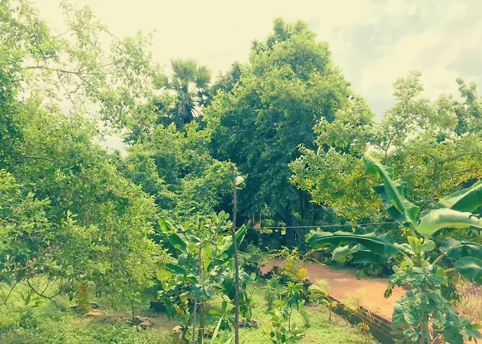 Oleena Home Stay