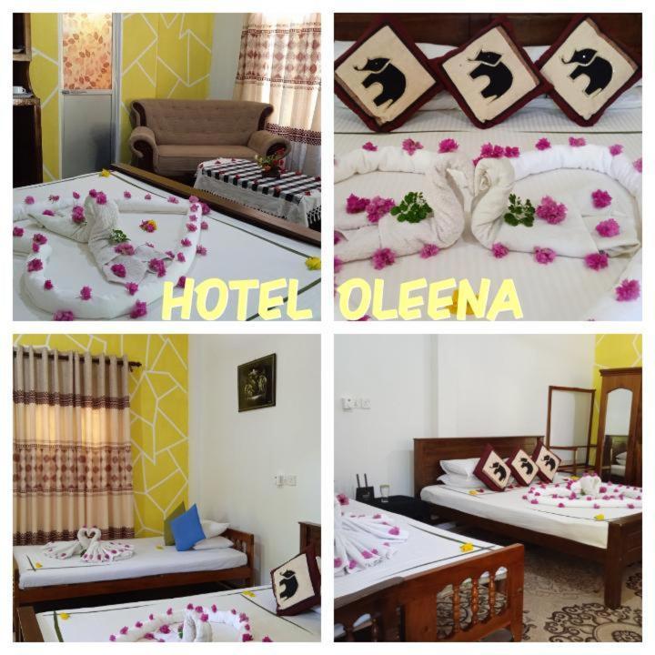 Oleena