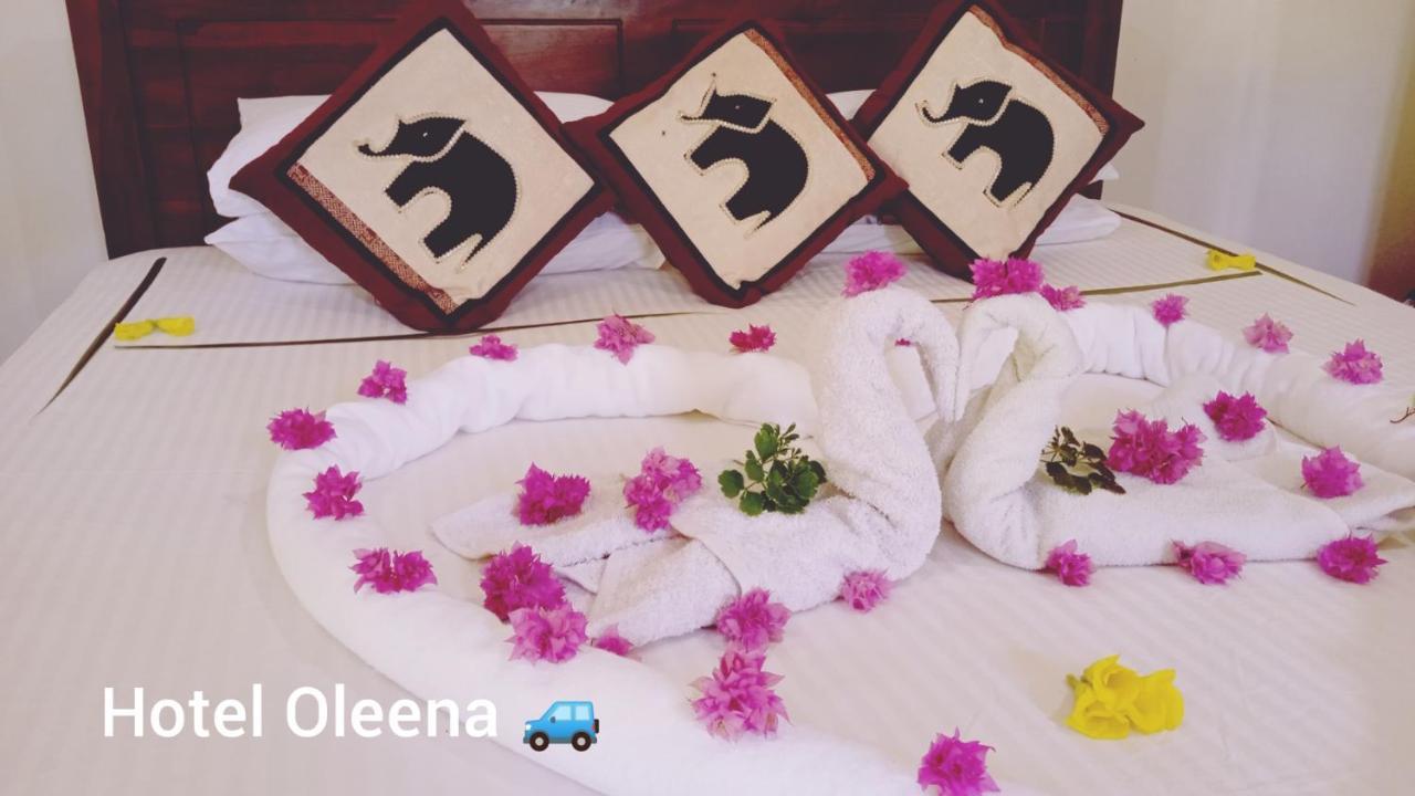 Oleena Homestay Habarana