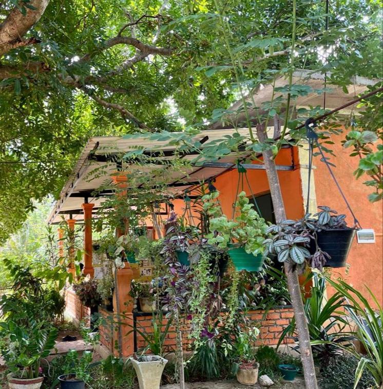 Oleena Homestay Habarana