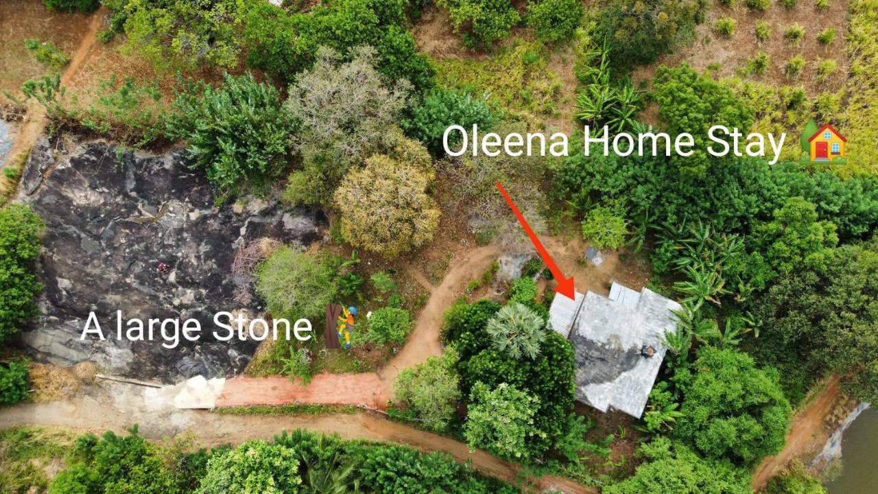 Homestay Oleena *