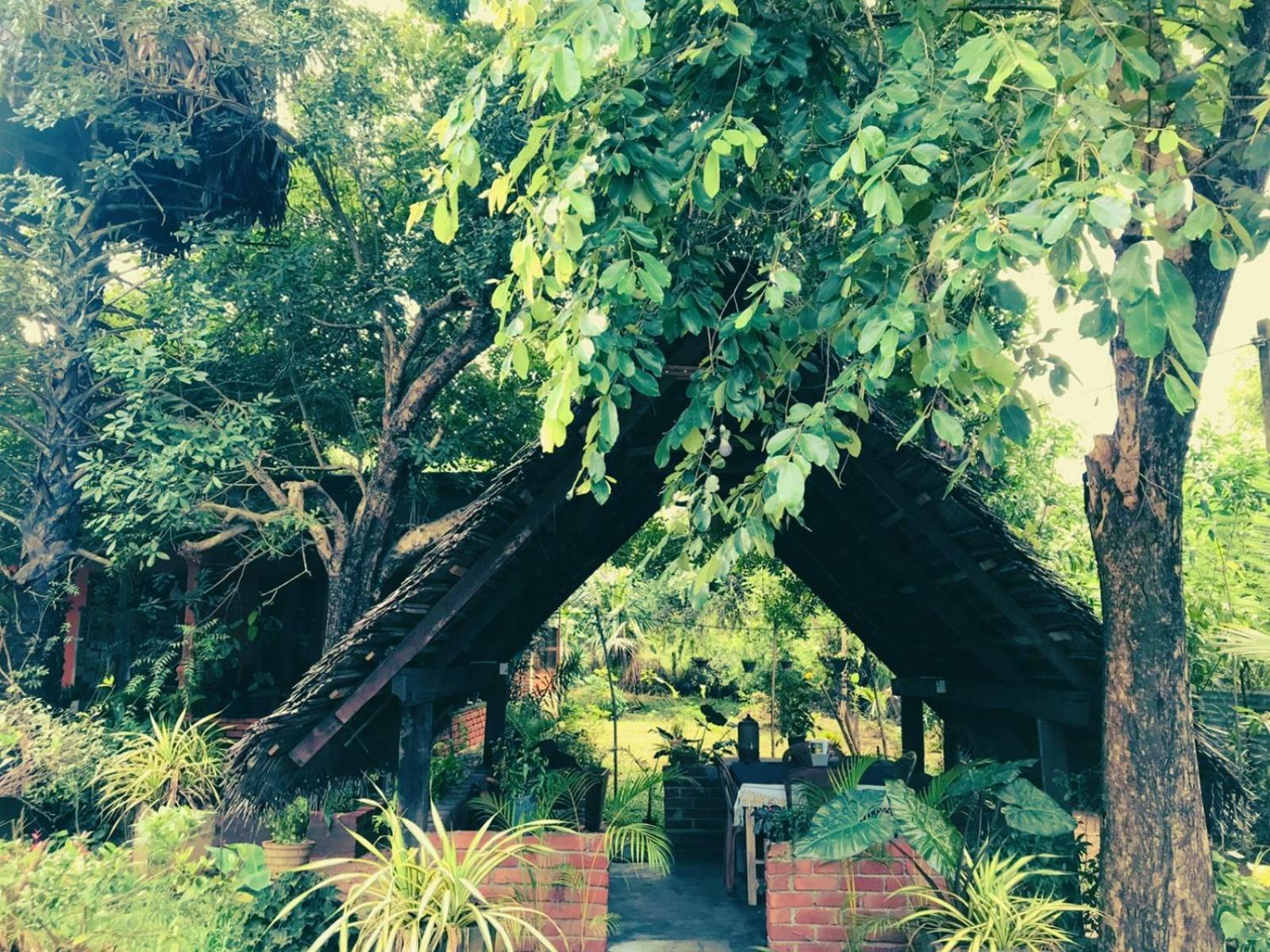Homestay Oleena Habarana