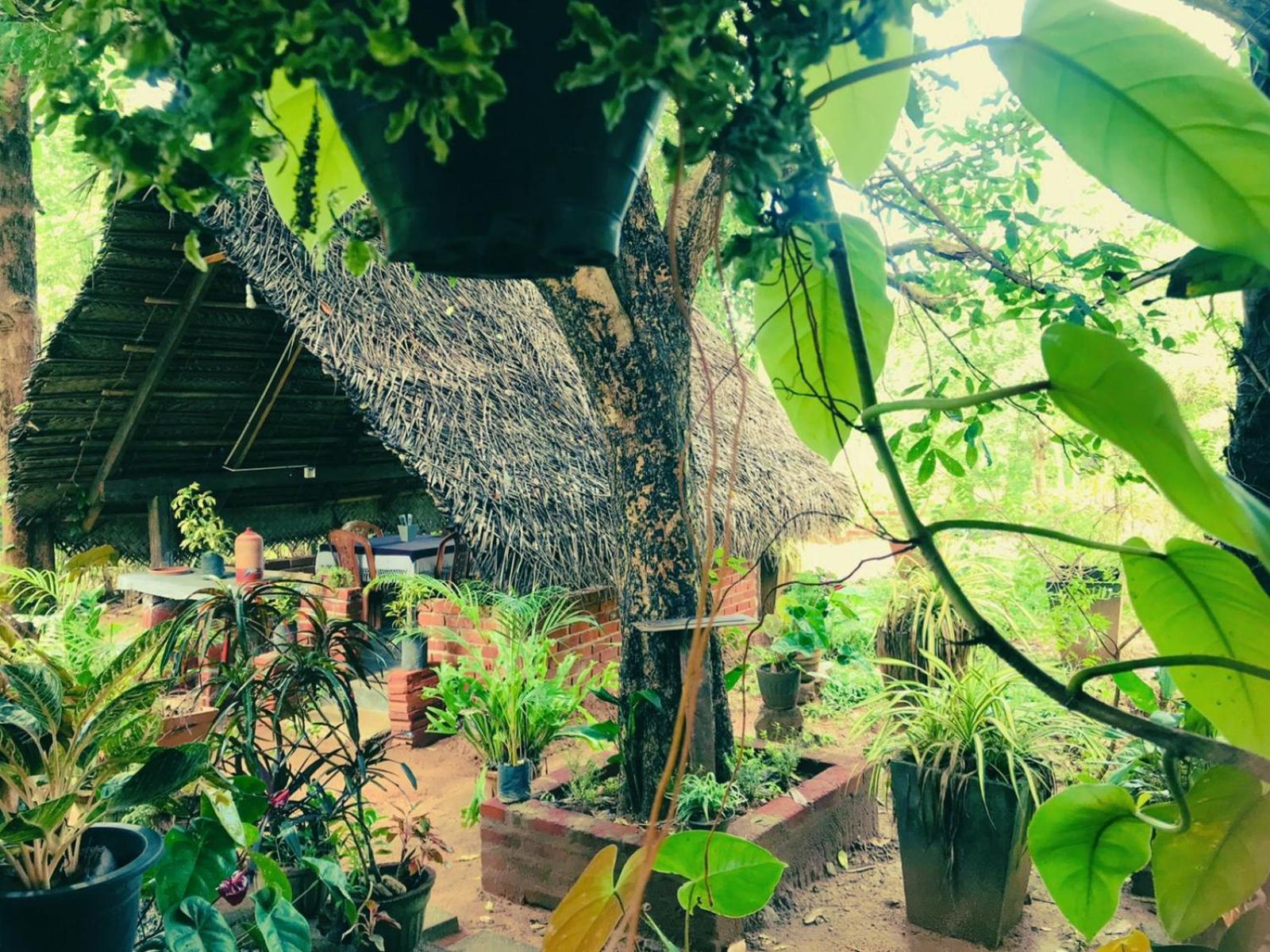 Oleena Homestay