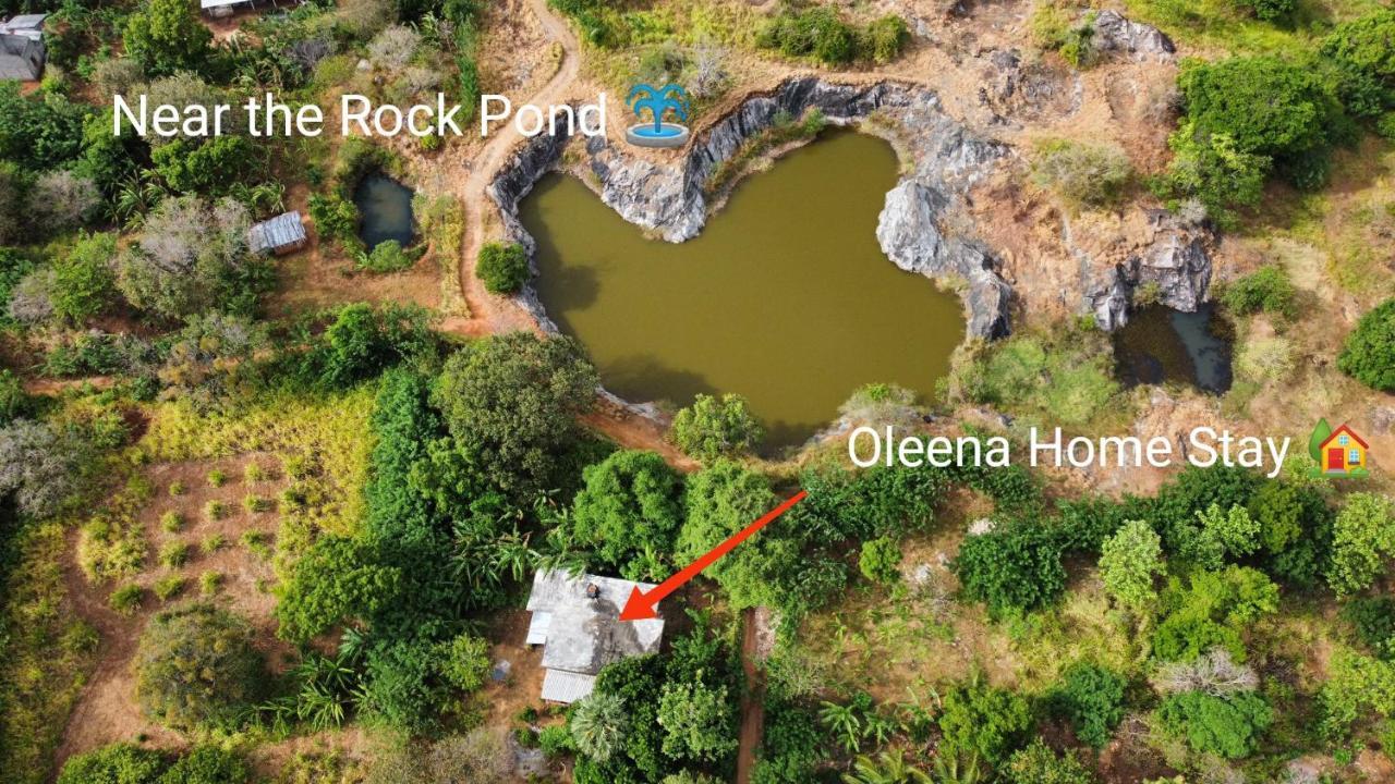 Oleena *